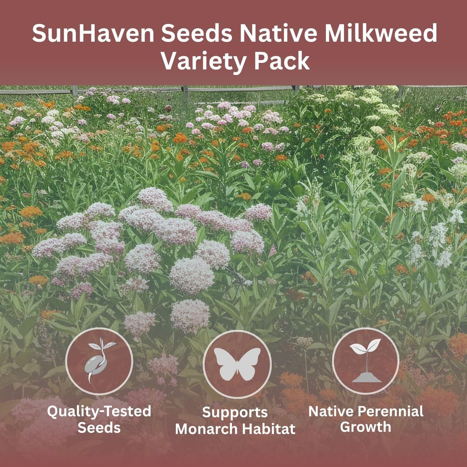 Native Milkweed Variety Pack – 5 Essential Species for Monarch Butterfly Gard…