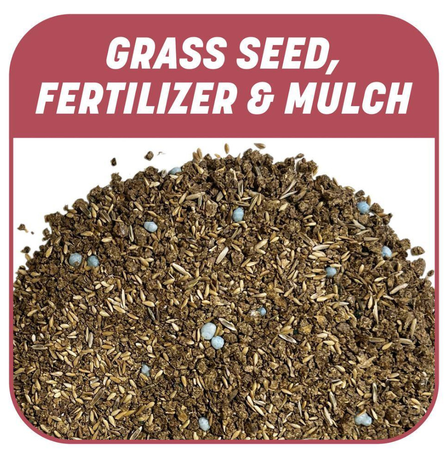5lbs Smart Patch Zenith Zoysia Grass Seed Mix, Zenith Grass Seeds for Lawn