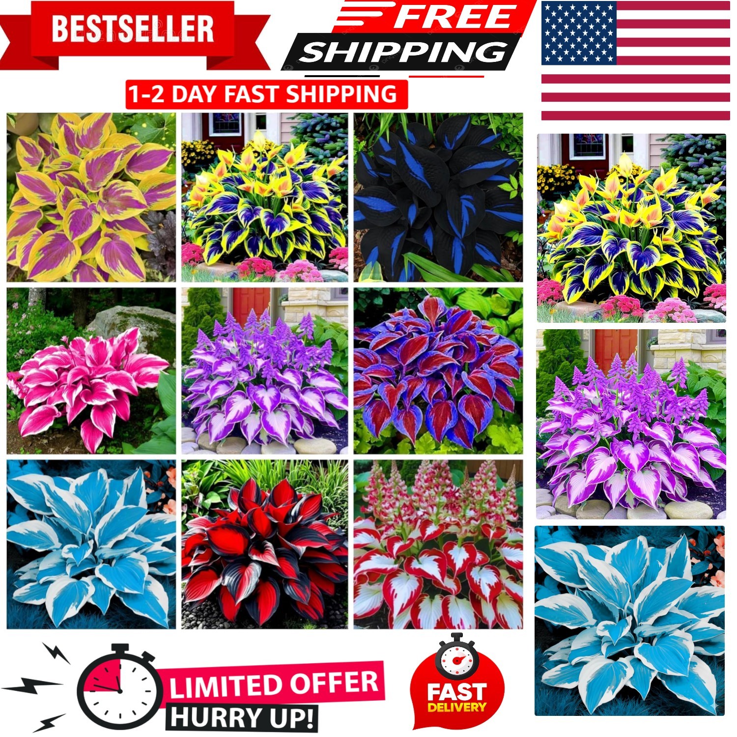 Low Maintenance Heart-Shaped Hosta Seeds – 350+ Plants to Attract Hummingbirds