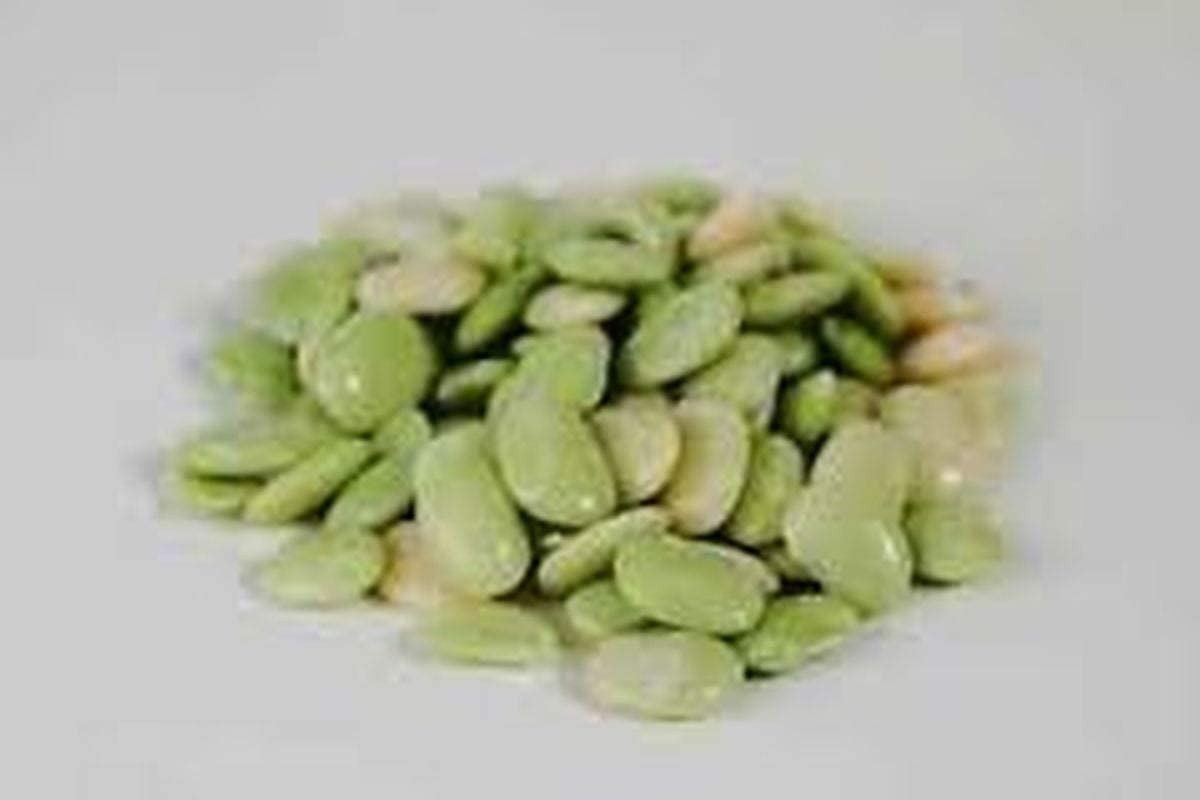 Bridgeton Baby Lima Bean Seeds (25+ Seeds)