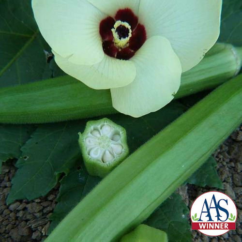 OKRA MIX BULK PACK Red Burgundy Clemson Spineless Jing Orange Perkins 150 Seeds!