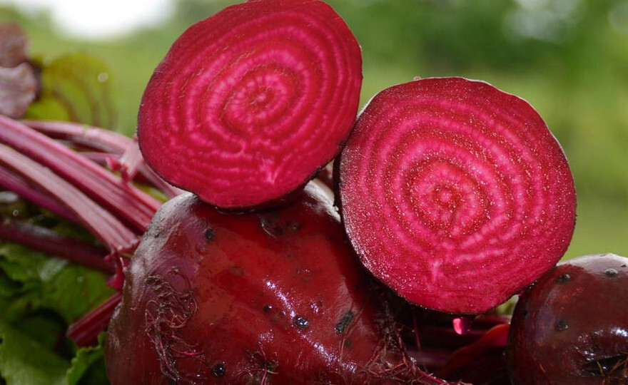 1200+ DETROIT DARK RED BEET SEEDS NON-GMO FRESH GARDEN HARVEST