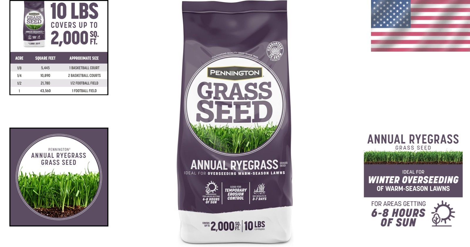 Disease-Resistant Annual Ryegrass Grass Seed for Quick Winter Coverage – 10 lb