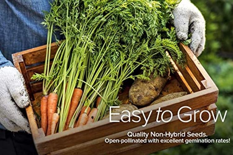 Winter, Fall, and Spring Vegetable Seeds for Planting | Cool Weather Crops |