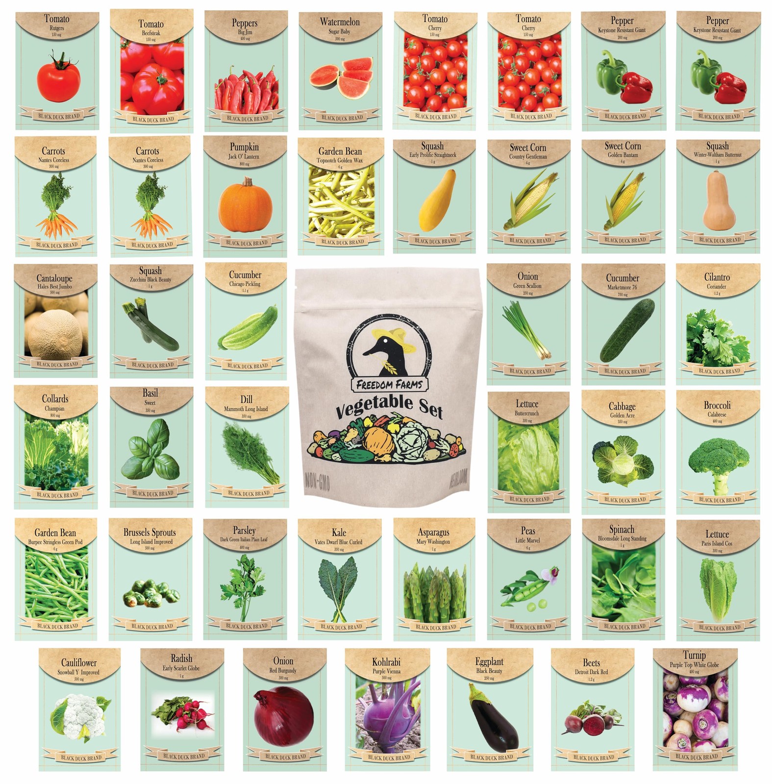 Set of 43 Assorted Vegetable & Herb Seed Packets Over 10,000 Seeds Includes…