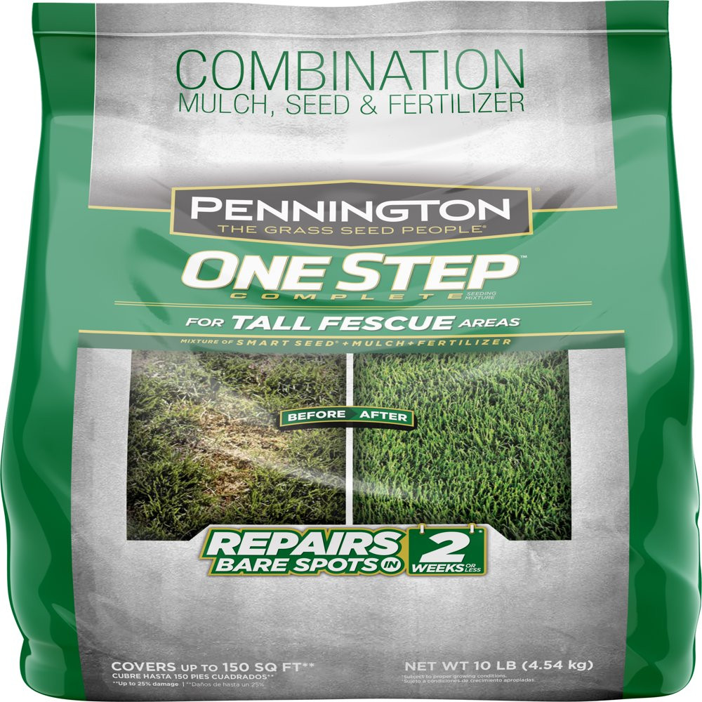 GRASS SEED PATCH REPAIR Tall Fescue for Sun to Partial Shade