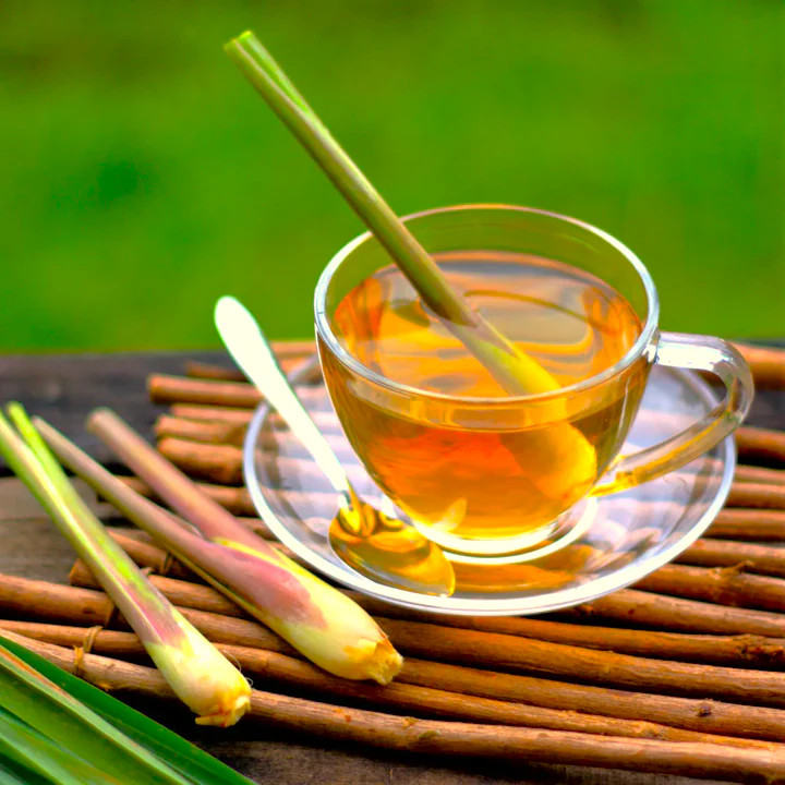 West Indian Lemongrass Seeds | Citronella Lemon Grass Mosquito Repellent 2025