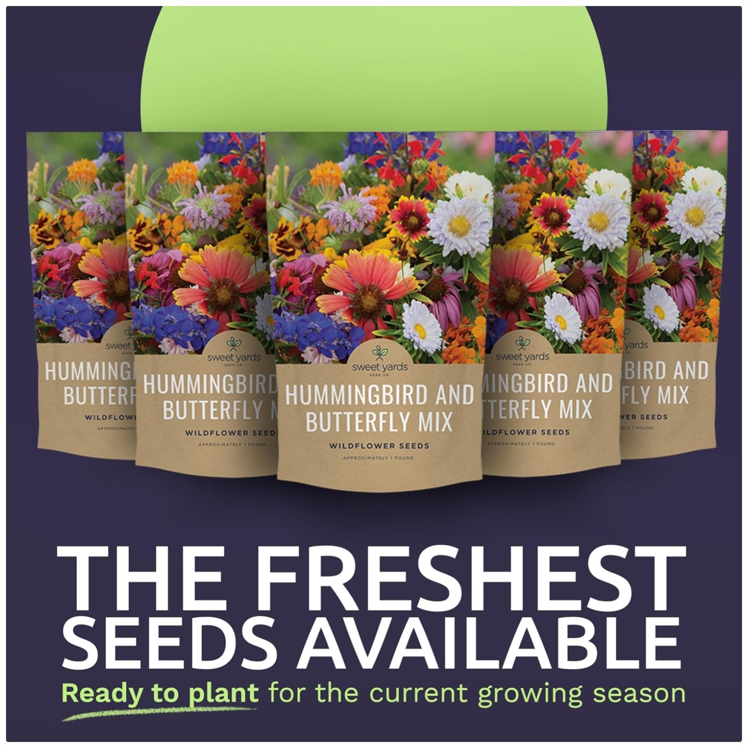 Wildflower Seeds Bulk – Butterfly Hummingbird Mix, 5 Pounds