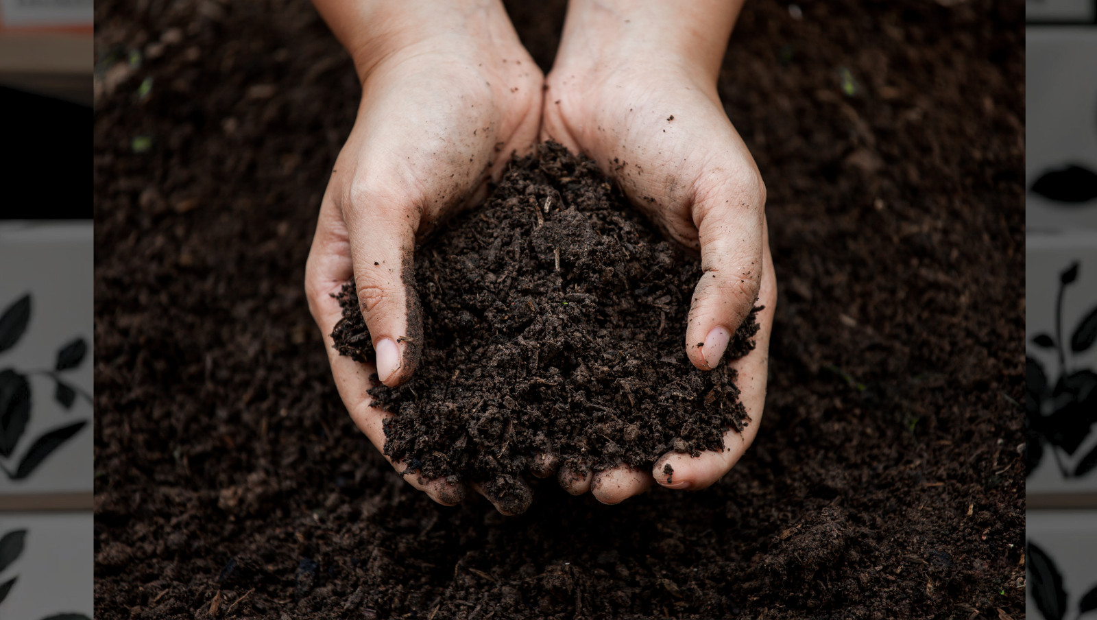 Bad Apples THE BAD APPLE SAUCE™ – DIY Seed Bomb Mix – Guerrilla Garden Party!