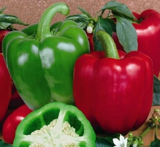 Essential Survival Kit Perfect Vegetable Garden Save Seed 5 Varieties FREE SHIP!