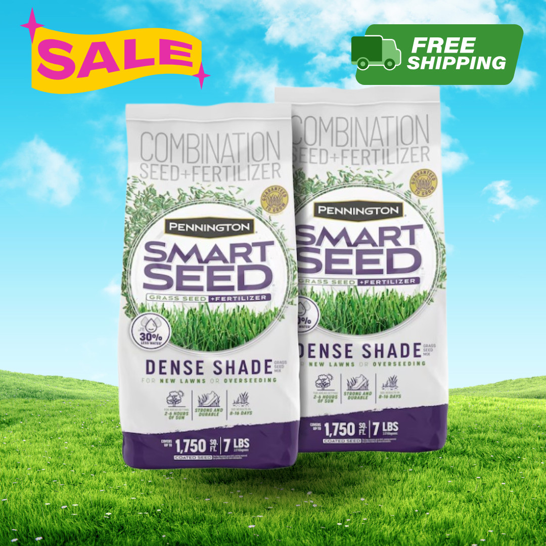 [FASH SALE] 2 Pack Pennington Smart Seed Dense Shade 7 lb Tall Fescue Grass Seed