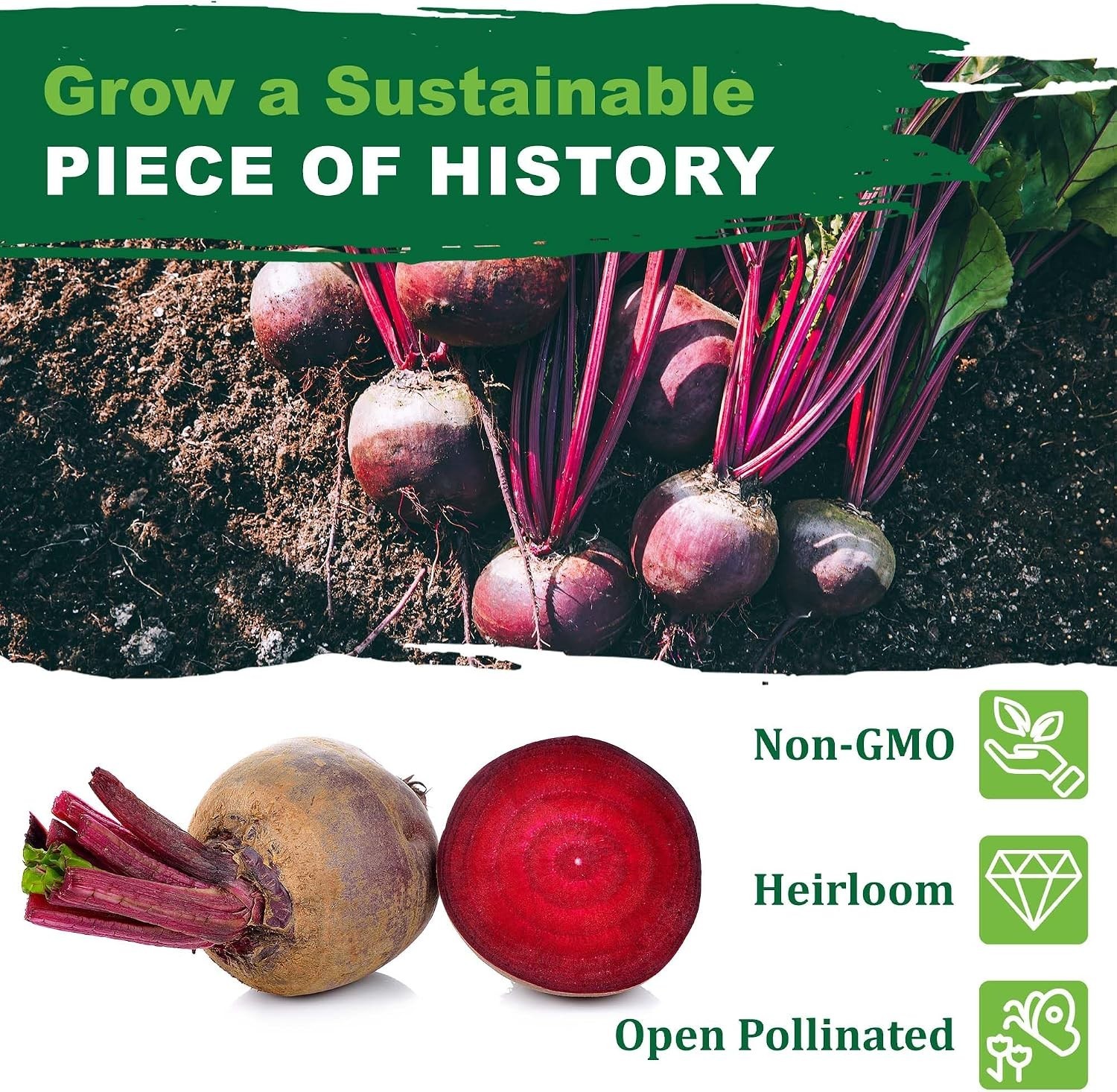 High Germination Detroit Dark Red Beet Seeds – 125 Count, Ideal for Any Garden