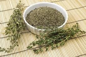 Thyme Herb Seed, NON-GMO, 500+ seeds, Herbs, Spice, Seeds, Herb