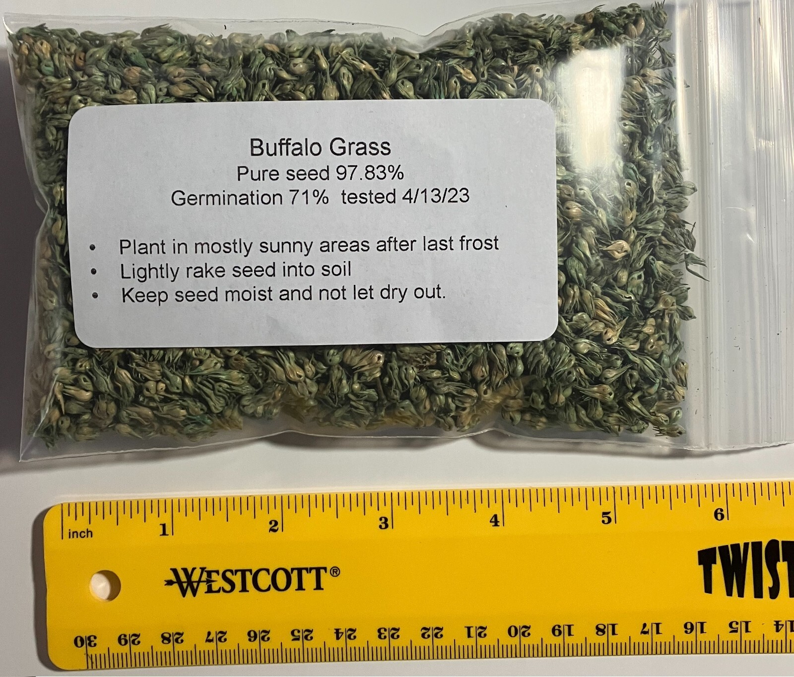 2 oz BUFFALO GRASS Seed Native Prairie Sedge Low Maintenance Drought Heat Turf