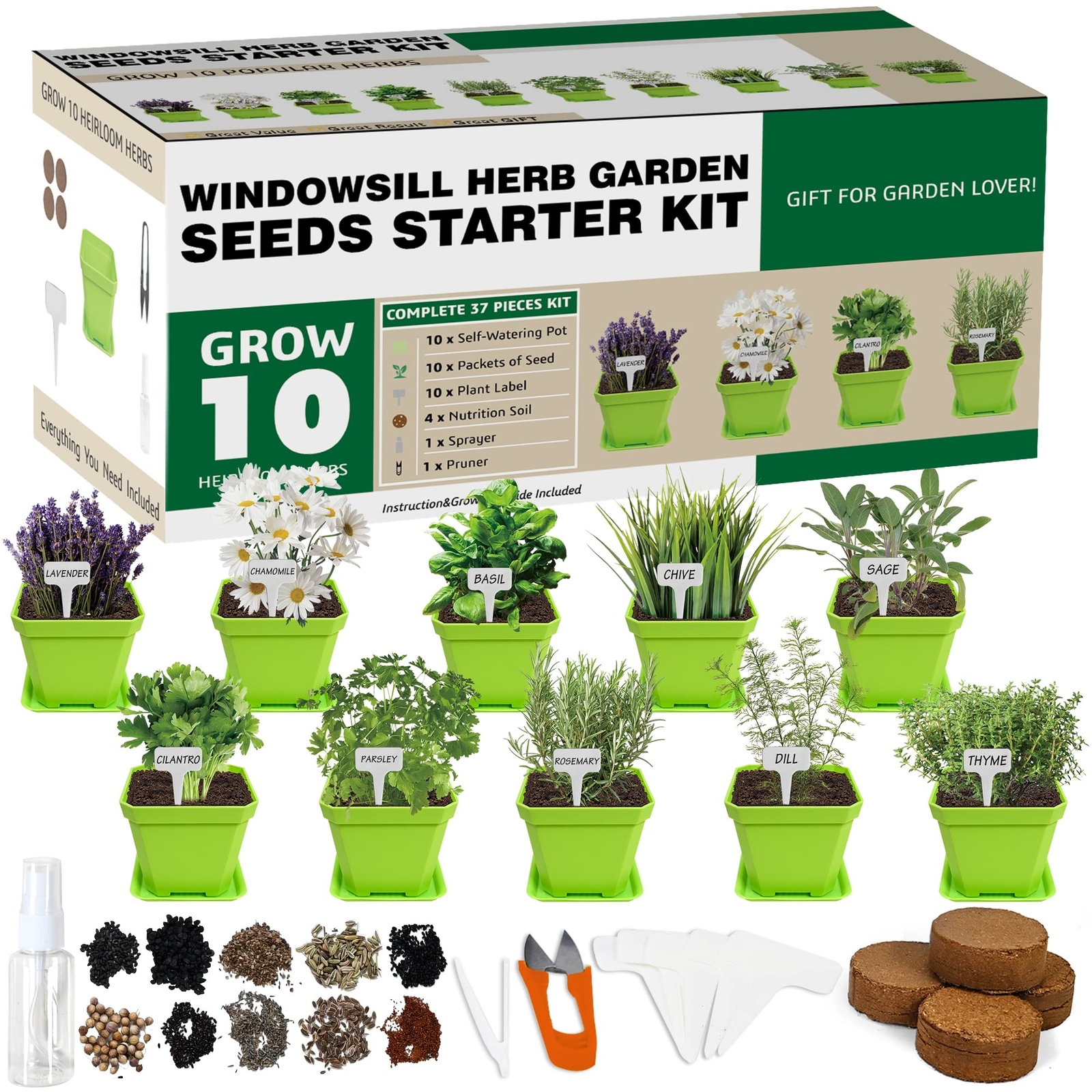 10 Herb Seeds Garden Starter Grow Kit Indoor Potted Plant Set for Kitchen