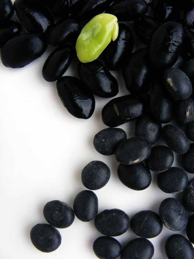 Black Soybean seeds, Soybean seeds to plant in your home garden.