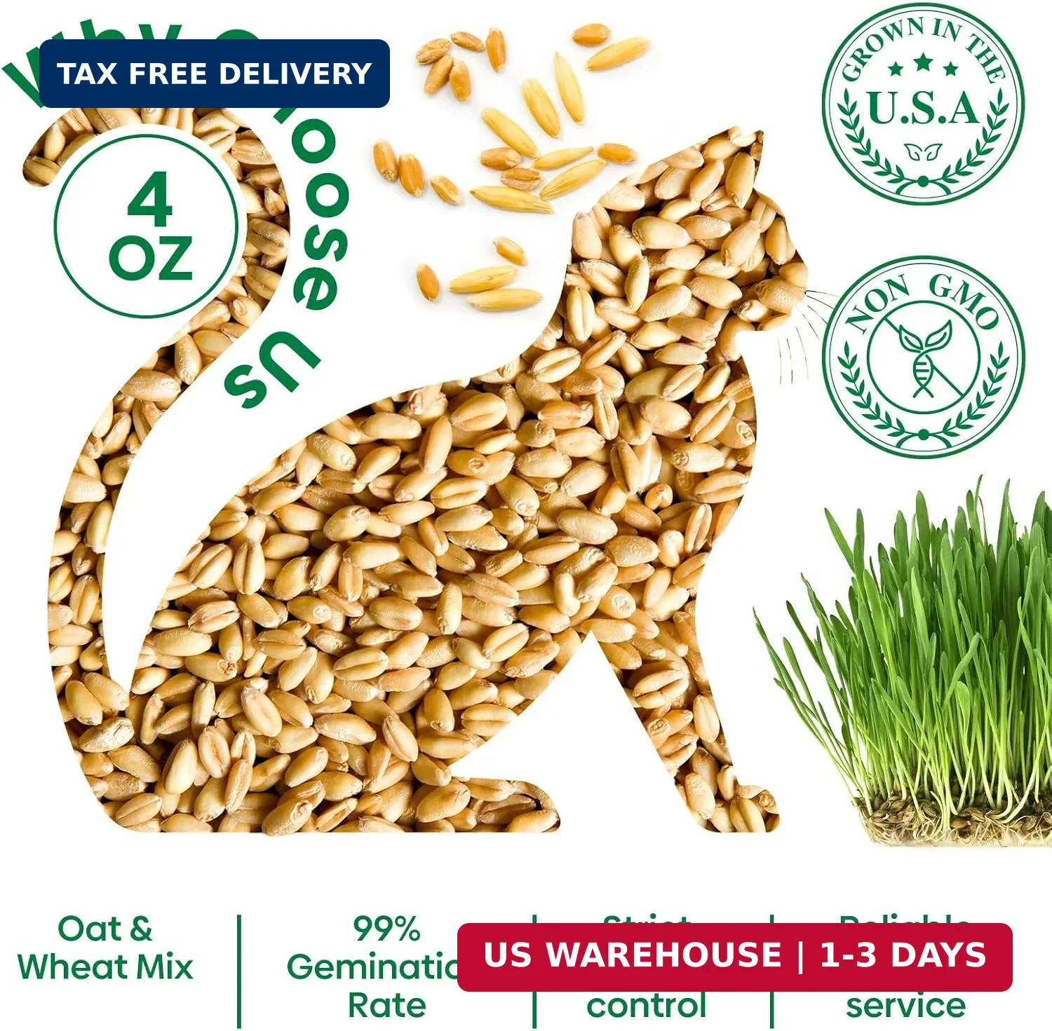 Groundio Cat Grass Seeds 4 OZ | Wheat & Oat Seeds Mix
