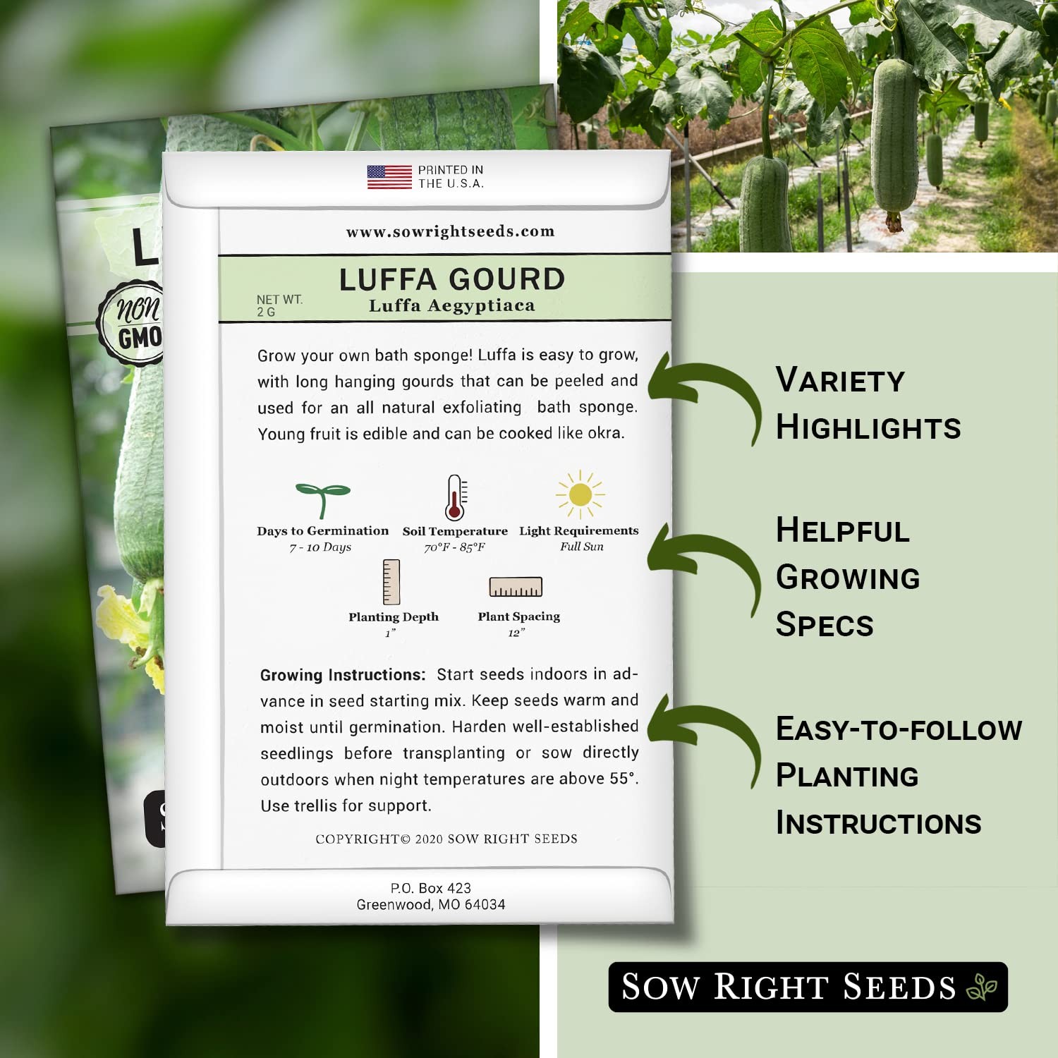 Luffa Gourd Seeds Plant Non GMO Heirloom Packet Garden Sponge 30 Count