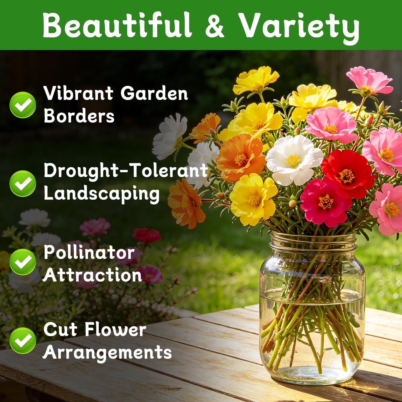 10,000+ Moss Rose Flower Seeds – Non-GMO, Mixed Colors, Easy to Grow, Attracts P
