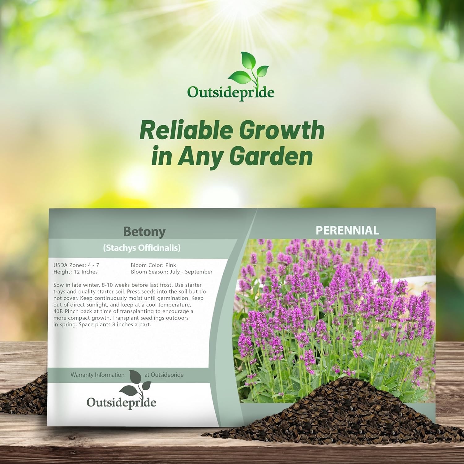 1000 Seeds Stachys Officinalis Betony Herb Seeds