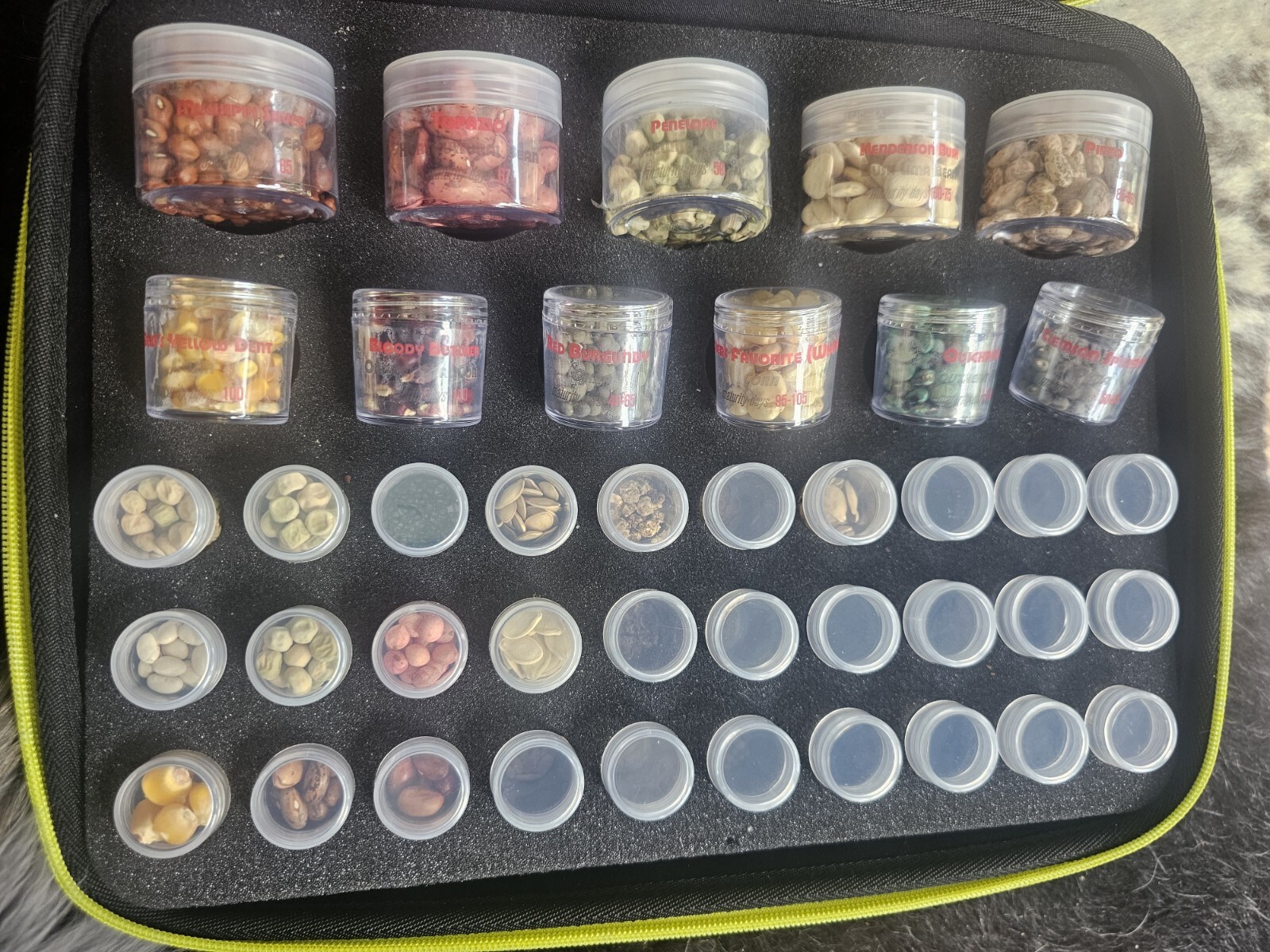 Heirloom Seeds Giant Set 41 Piece.
