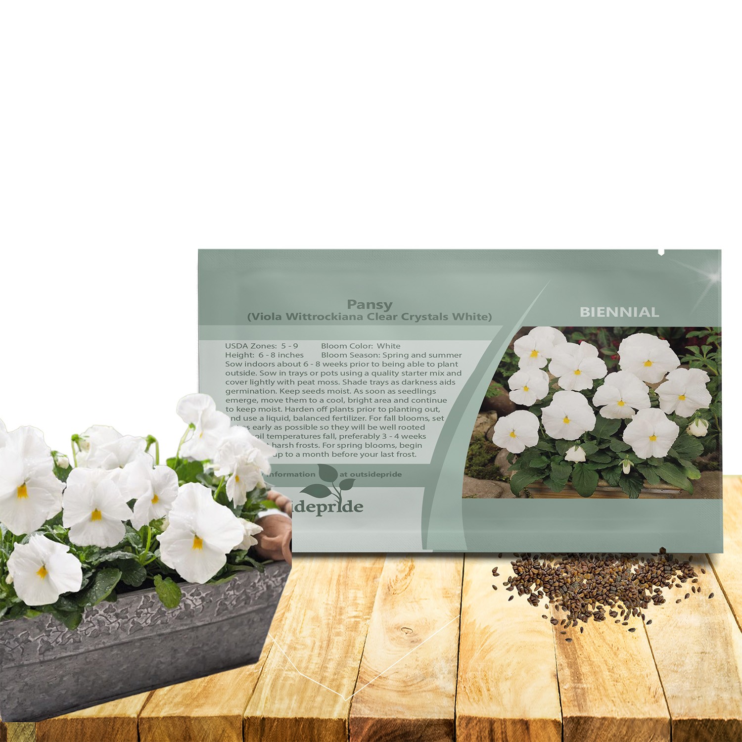 2000 Seeds Pansy Seeds – Clear Crystal White Flower Seed