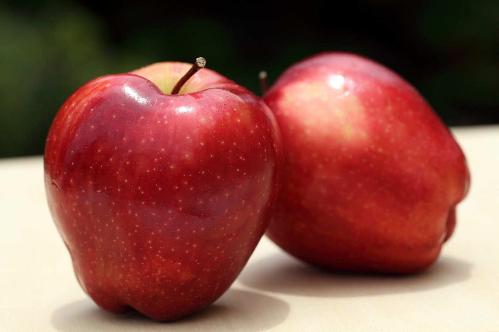 1(One) Live Plants of “SEEDLING RED DELISH APPLE” about 4-7″ tall