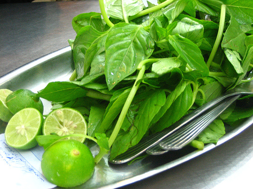 LIME BASIL SEEDS * CITRUS FLAIR * ZESTY AROMA OF LIME * 100 SEEDS* GOURMET *