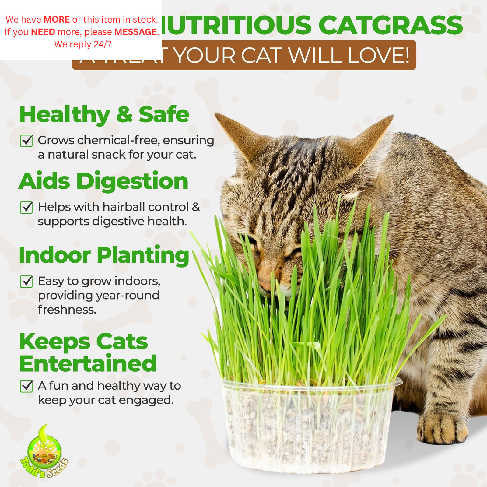 Todd’s Seeds Wheatgrass Seeds; Hard Red Winter Wheat, Non-GMO, 1/4 Pound,