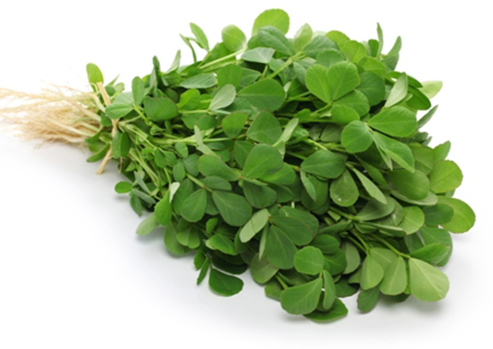 75+ Fenugreek seeds, organically grown – Free S/H
