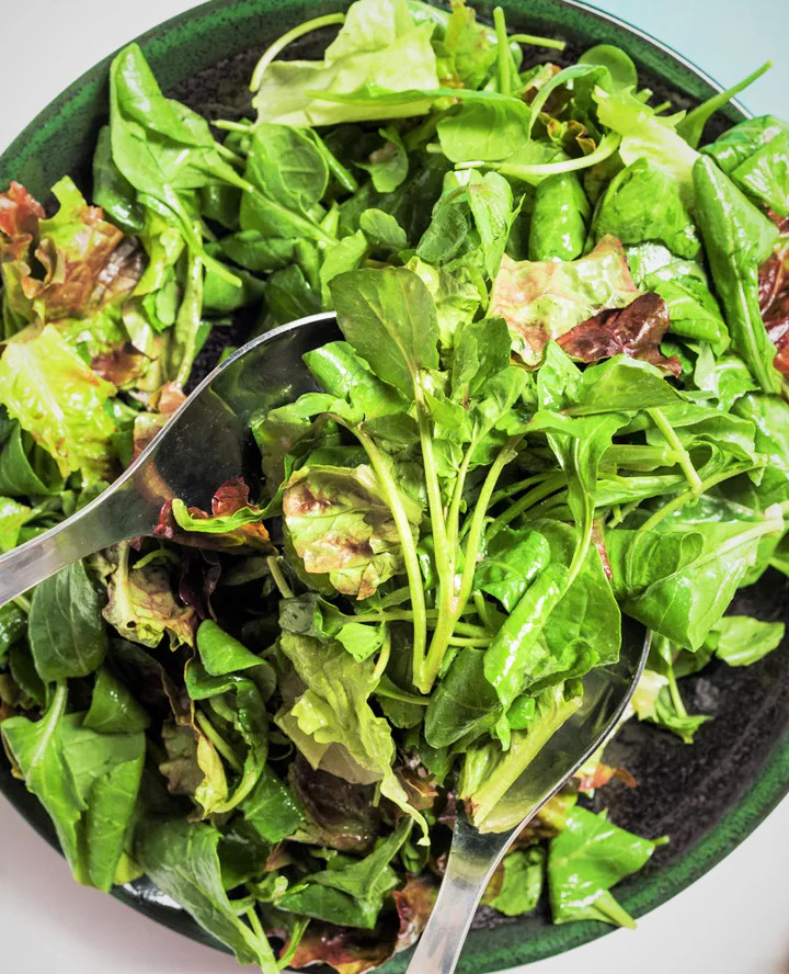 Bronze Mignonette Butterhead Lettuce Seeds | Lactuca Red Buttercrunch Bibb 2024