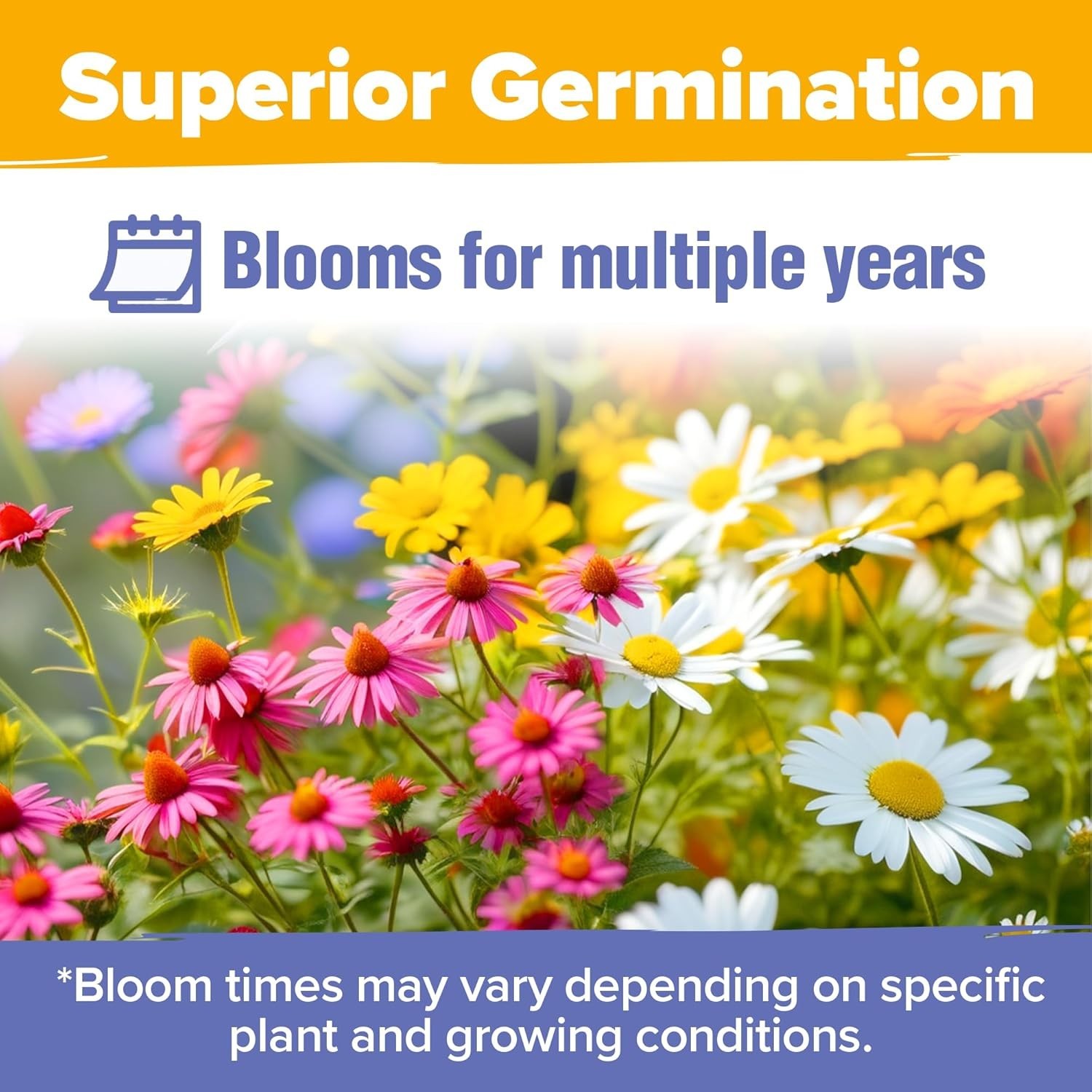 44,000 Seeds – Vibrant Wildflower Mix for Full Sun & Shade – Easy Grow Guide