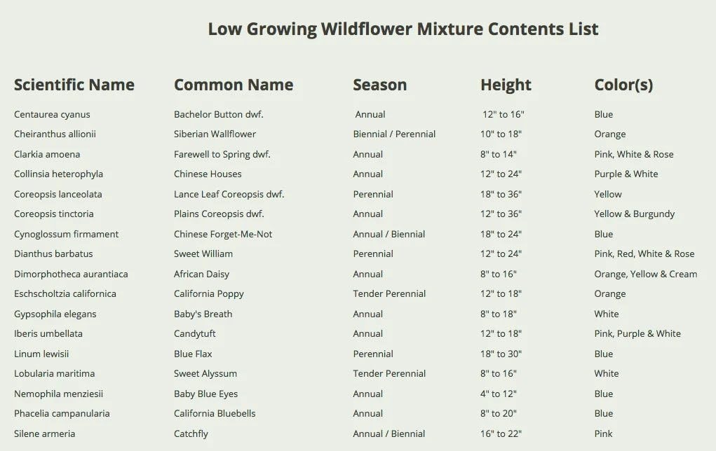 1 Ounce Low-Growing Wildflower Seeds Mix – Attract Butterflies & Pollinators
