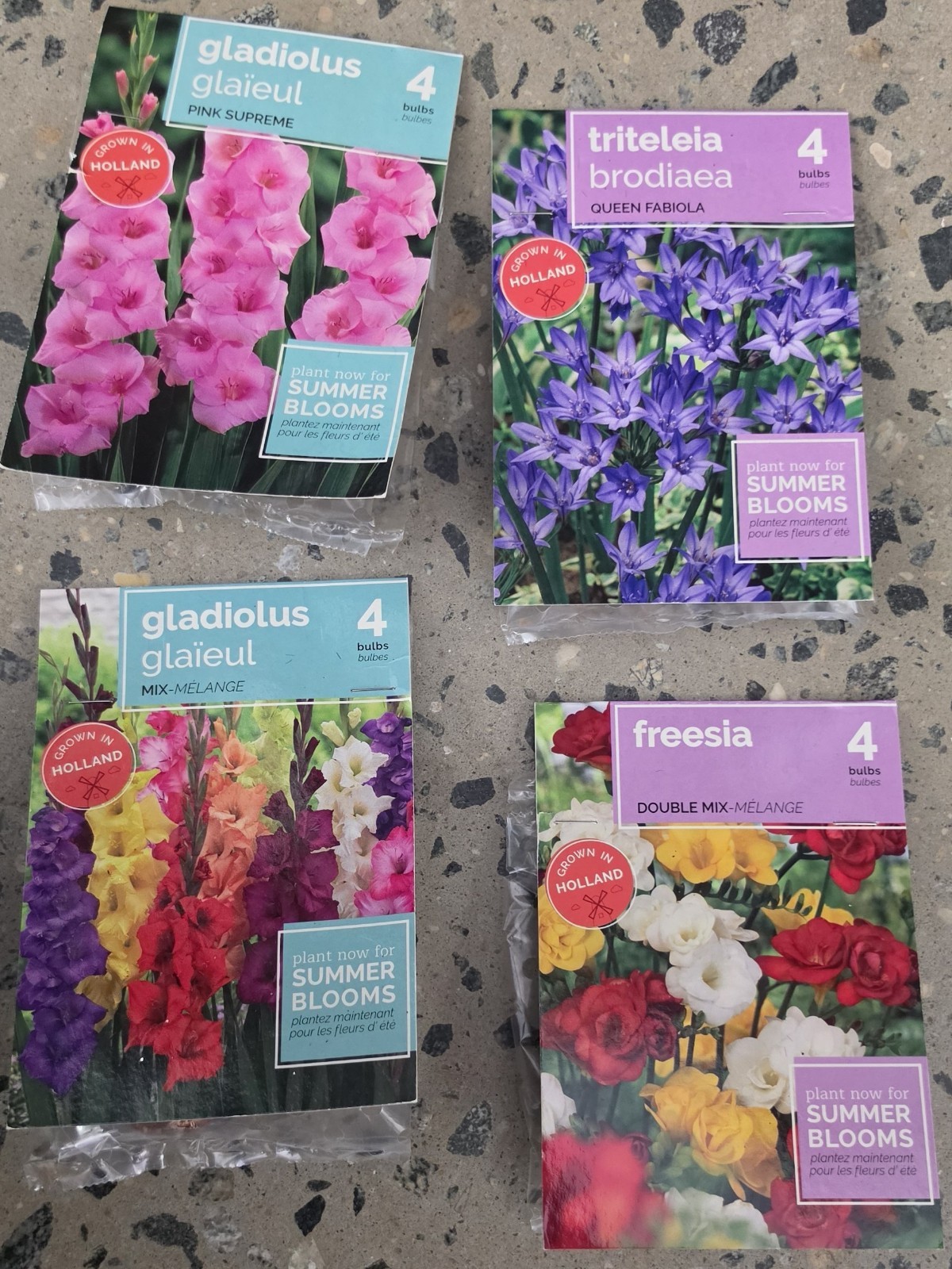 Gladiolus, Triteleia Brodiaea & Freesia Bulbs Outdoor Summer Blooms Mix 4PK