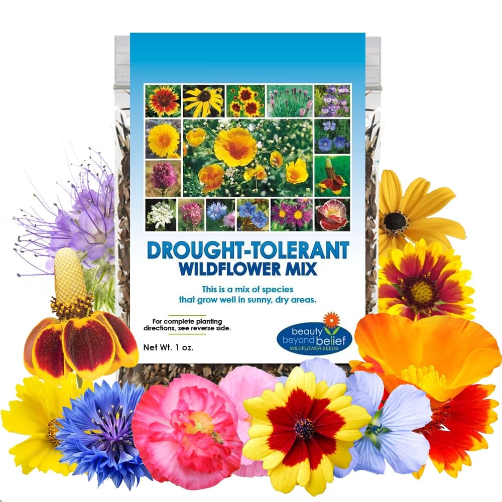 Drought Resistant Wildflower Seeds – 1oz, Open-Pollinated Bulk Multi color