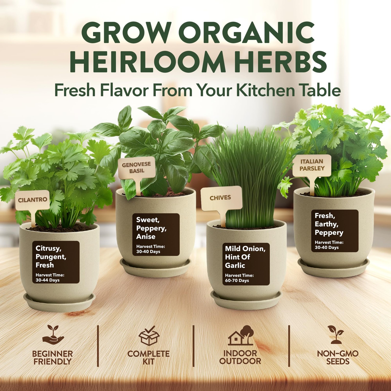 Indoor Organic Herb Garden Kit Unique Gift for Plant Lovers & Beginners