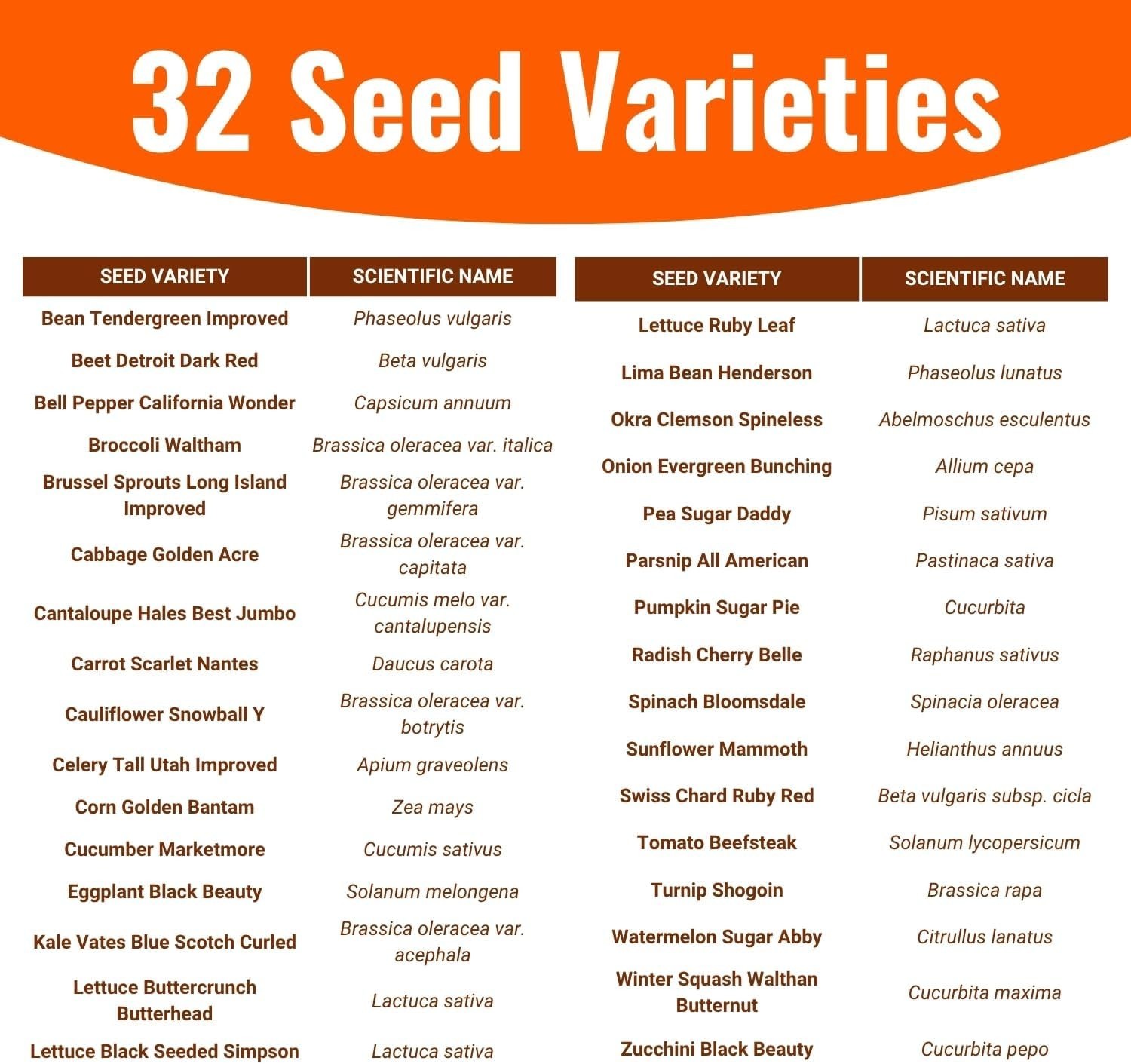 15,000 Heirloom Seeds – Versatile 32 Variety Collection for Any Gardener