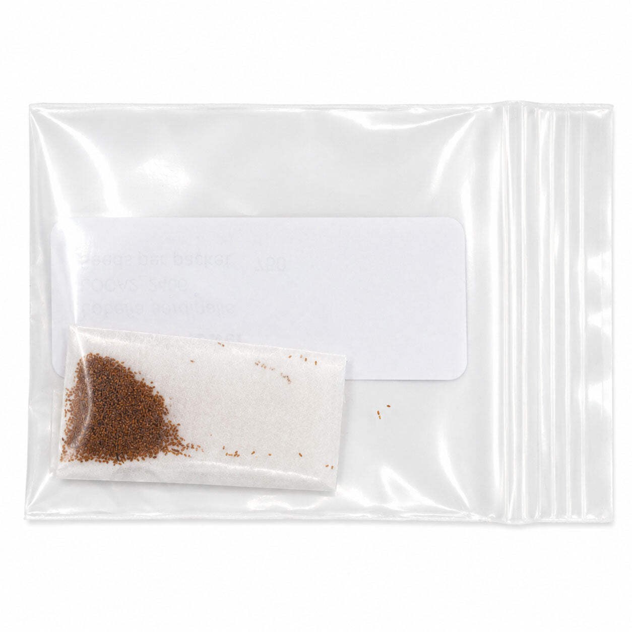 Mini Native Tall Hummingbird Seed Mix | Prairie Legacy Inc.