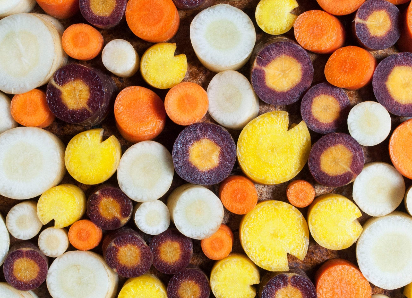 500 RAINBOW CARROT MIX White Red Yellow Purple Orange Daucus Carrota Seeds