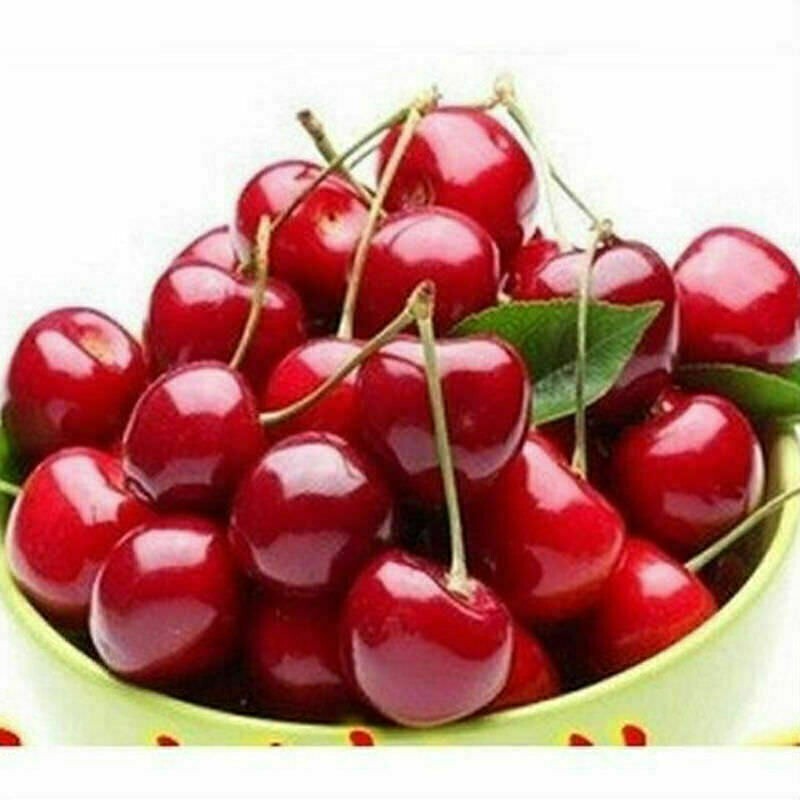 20PCs Cherry Seeds Organic Seeds Fruit Seeds Bonsai Tree High seed in the Garden