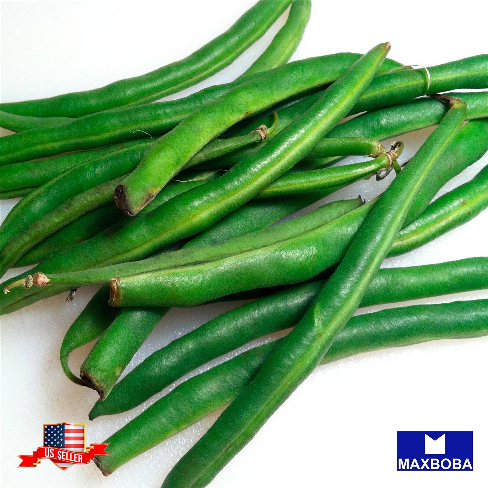 Bean Seeds – Bush – Jade Non-GMO / Heirloom / Vegetable Garden Fresh