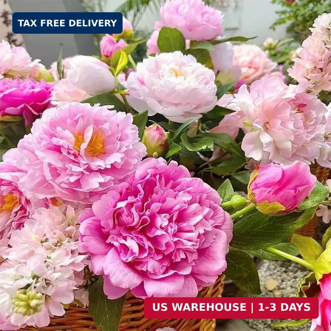 99+ Mixed Peony Flower Seeds Non-GMO Perennial Peony Mix High-Germination Garden