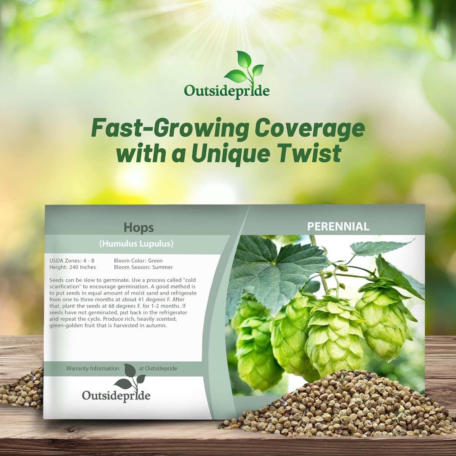 100 Seeds Humullus Lupulus Hops Flower Seeds