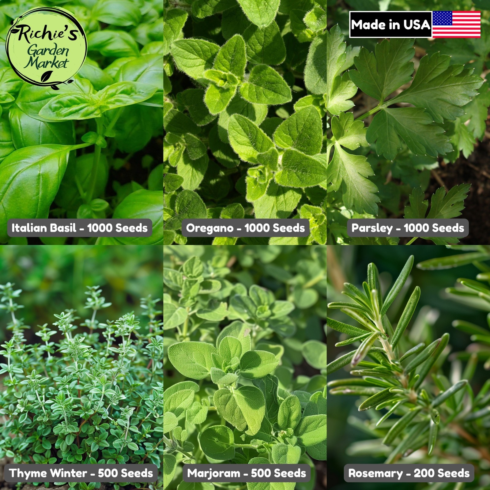 Italian Herb Seeds Kit, Basil Oregano Parsley Thyme Rosemary Marjoram, Non-GMO