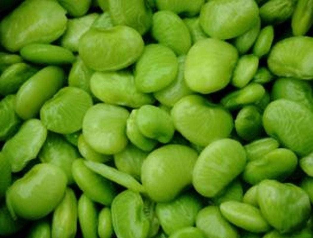 Henderson Baby Lima Bean Seeds (25+ Seeds)(More Heirloom, Organic, Non GMO, Vege