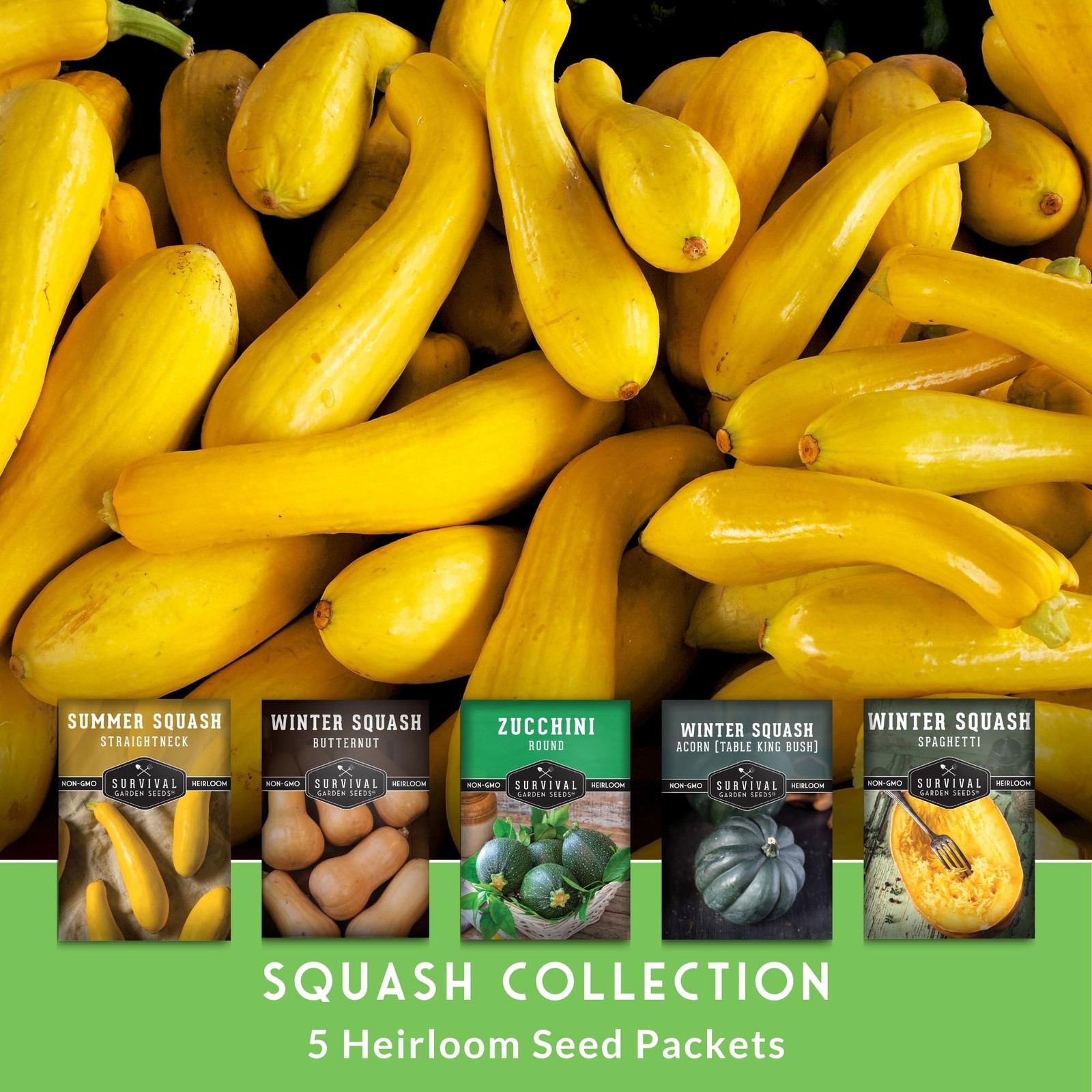 Heirloom Squash Seeds Variety Pack 5 NonGMO Summer & Winter Types