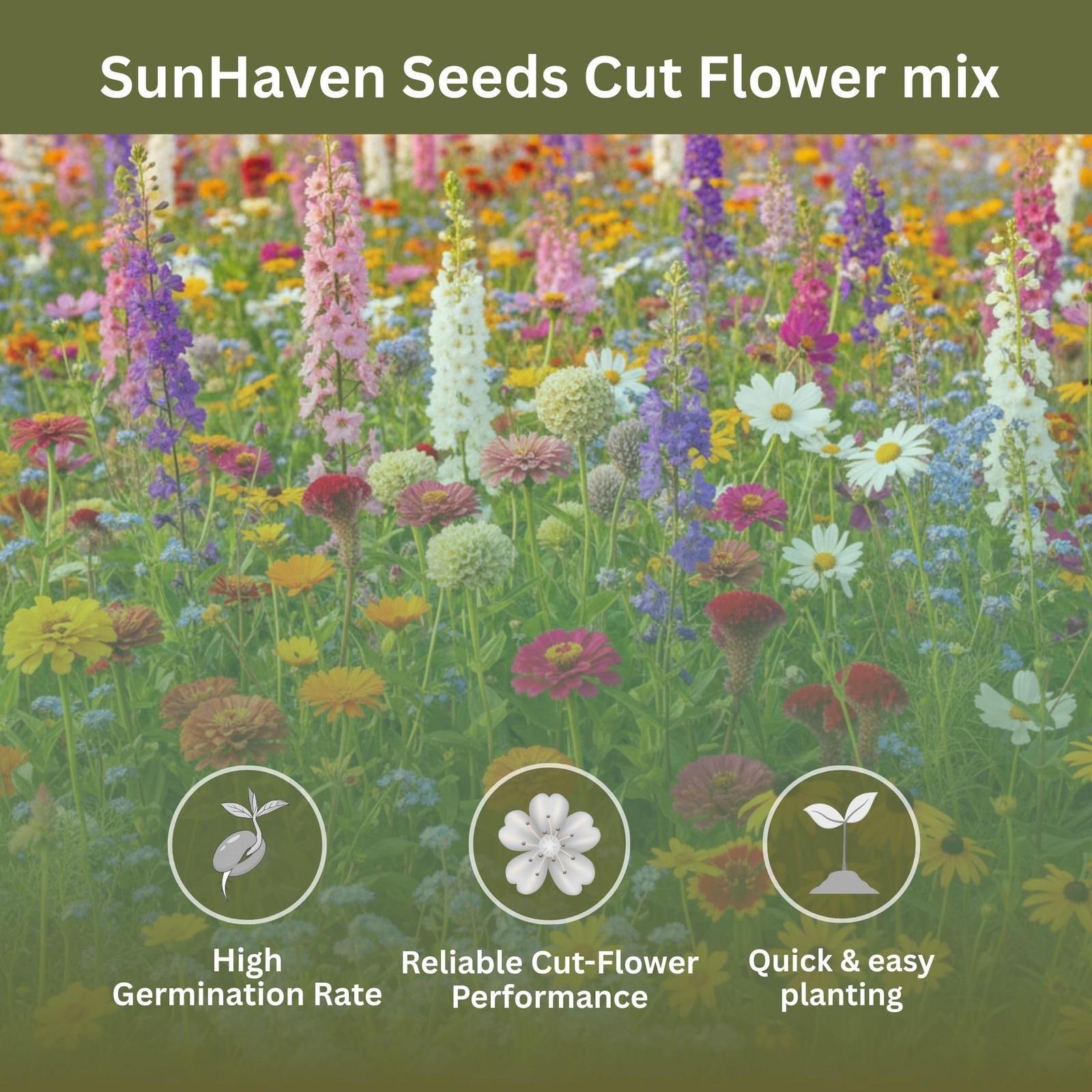 Cut Flower Garden Mix – 15,000+ Seeds – 1 oz Extra Large Packet – NonGMO Flow…
