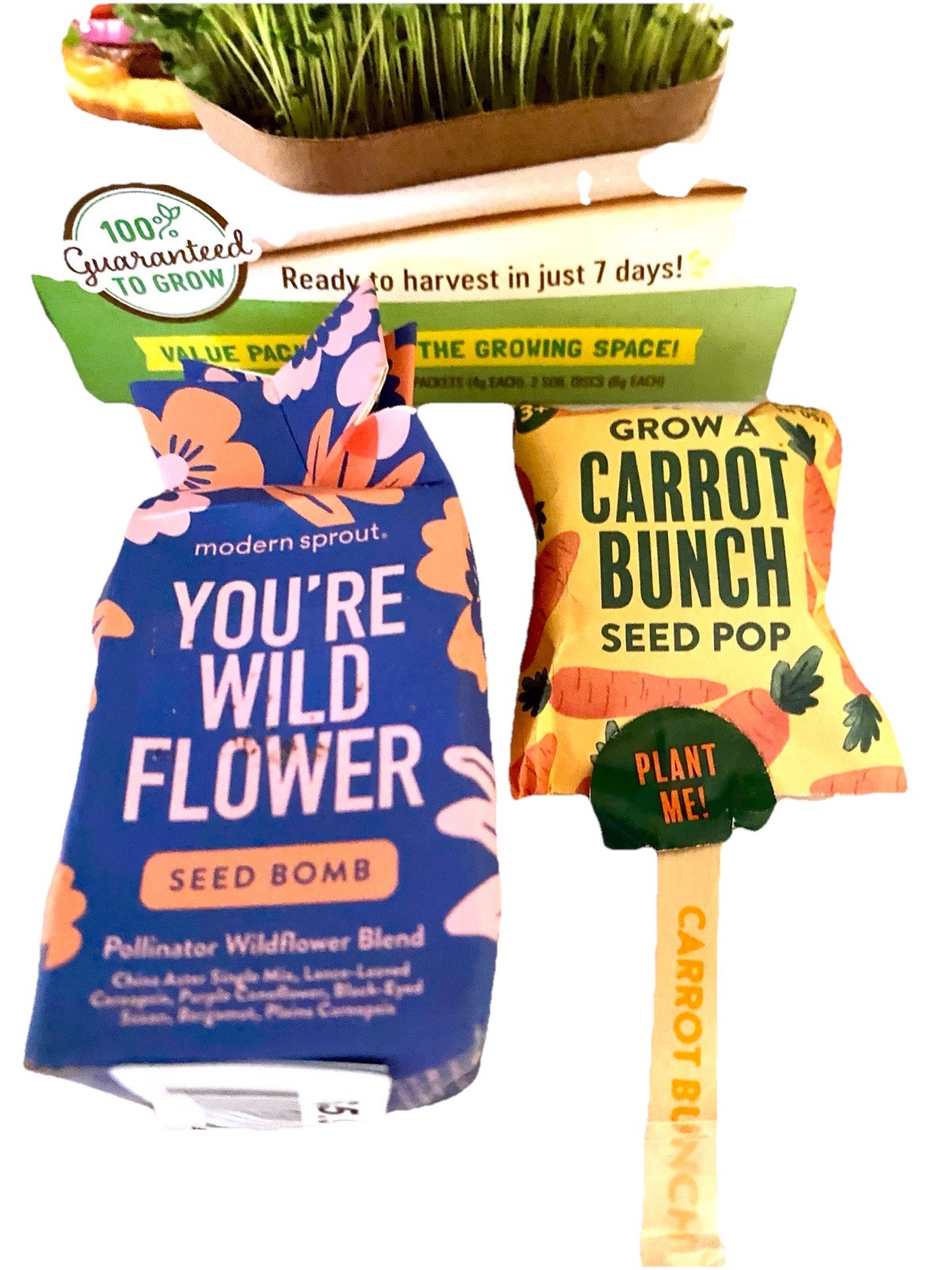 Gardening Lot Veggie Micro Greens Kit Seed Ball Kits Small Tools Great Gift Idea