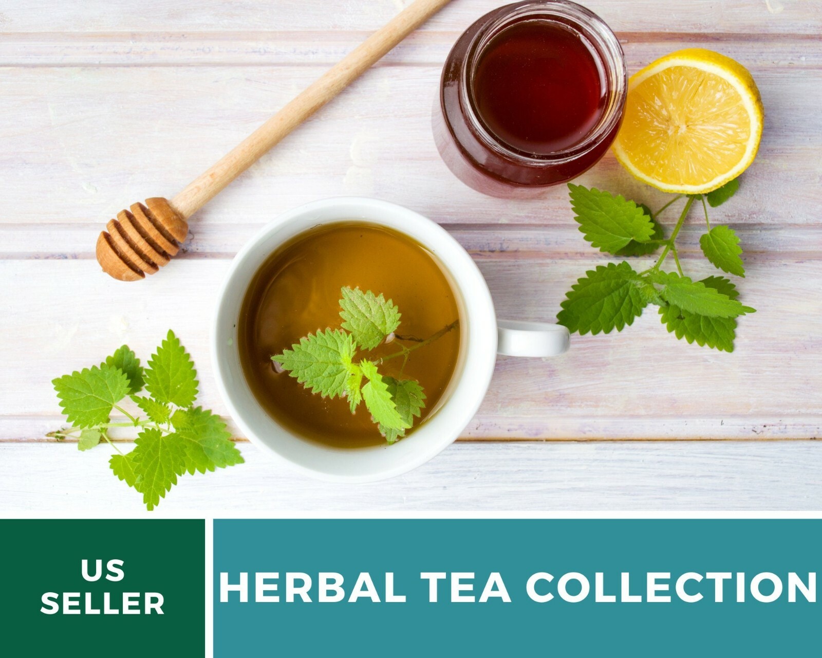 Herbal Tea Seed Collection – 6 Essential Herbs – Non-GMO