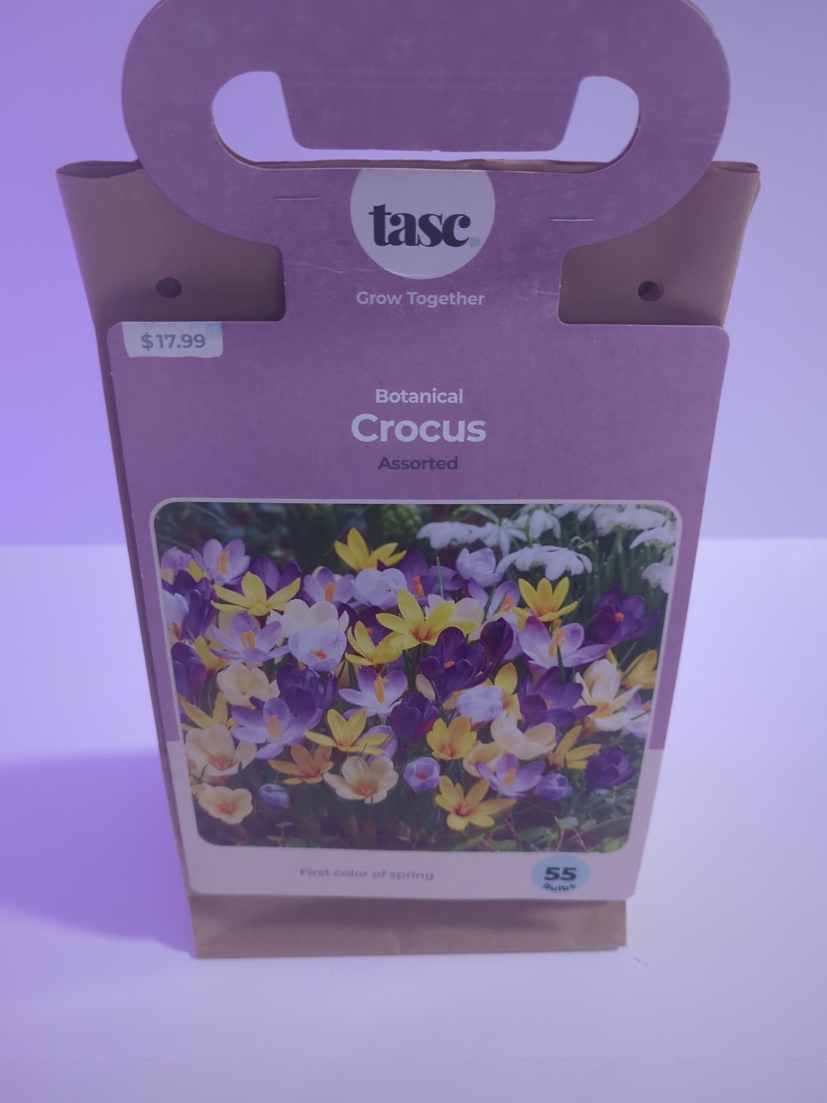 Dark Purple CROCUS fragrant flower exotic bush garden plant